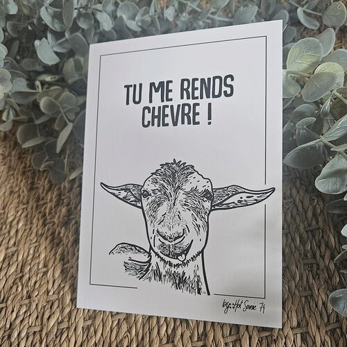 Carte postale | tu me rends chevres | 10x15 cm | animaux du paysage montagnard
