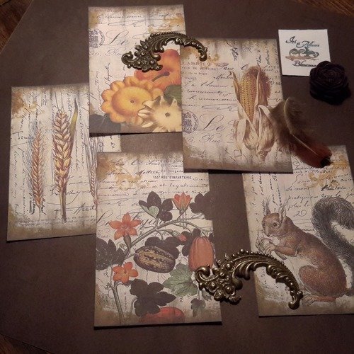 Lot 5 images, petites cartes, tableaux d'automne. dessins. coloquintes, écureuil, courges, épis mais, blé,  fleurs. carterie 
