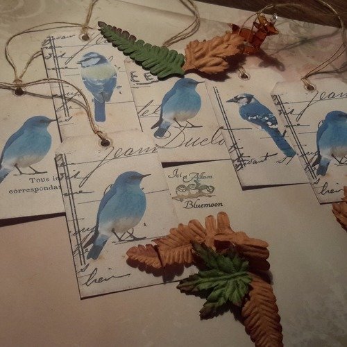 Etiquettes lot de 6  + liens ficelle.  oiseaux de nos jardins. étiquettes cadeaux. nature. scrapbooking