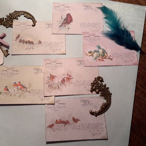 Lot 6 images, illustrations oiseaux,  bases créations de cartes. papeterie,  papier fantaisie, papier à motifs. scrapbooking 