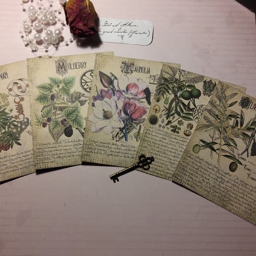 Lot 5 images, cartes, reproductions botanique. scrapbooking,  carterie, loisirs créatifs