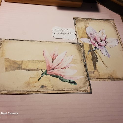 Lot 4 images, feuilles scrapbooking, série magnolia. carterie, papeterie
