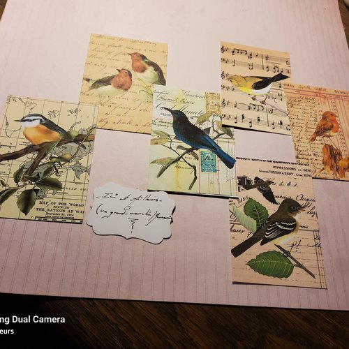 Lot de 6 images, collection oiseaux de nos jardins,  fonds écriture ancienne, musique,  mappemonde. carterie