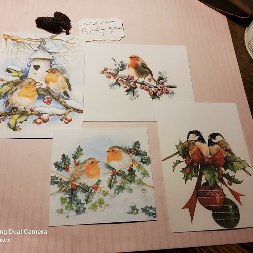 Lot  4 images, hiver, noël oiseaux mignons, papier motifs, scrapbooking, loisirs créatifs,  papeterie, cartes