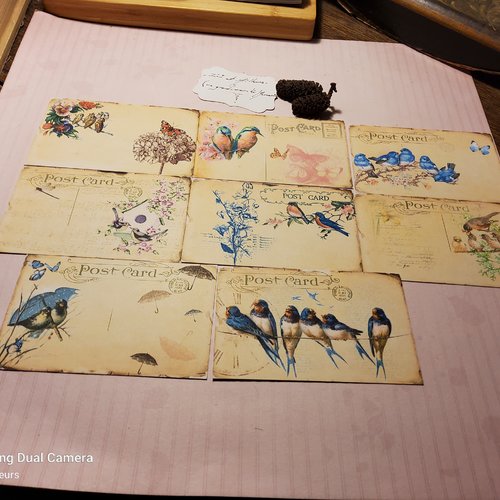 Lot 8 images, oiseaux, papier motifs, scrapbooking, loisirs créatifs,  papeterie, cartes