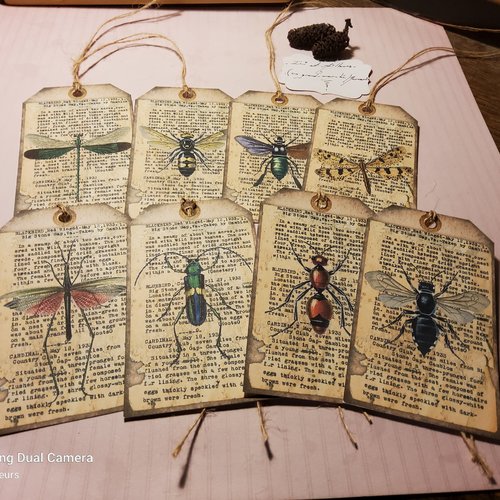Etiquettes lot de 6  + liens ficelle.  insectes.. étiquettes cadeaux. nature. scrapbooking