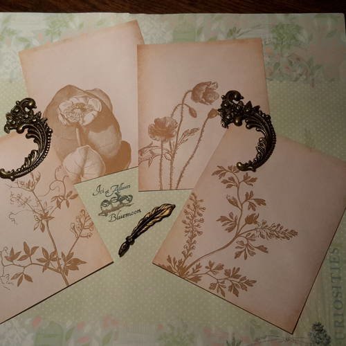 Lot b 4 cartes, images, fleurs, plantes sauvages. motif pour cartes. nature. beige, marron.  scrapbooking 