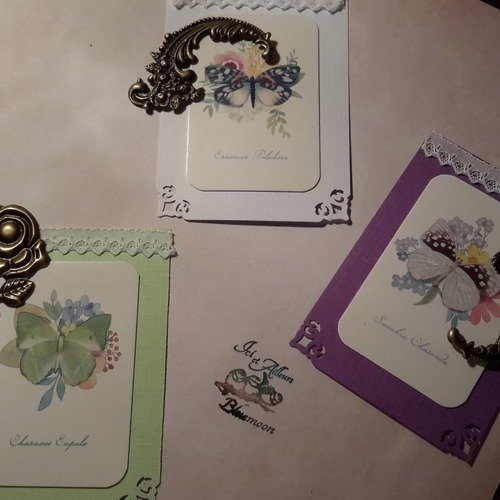 Lot 3 petites cartes, die cut, tags rectangulaires coins découpés. aquarelles papillons. 