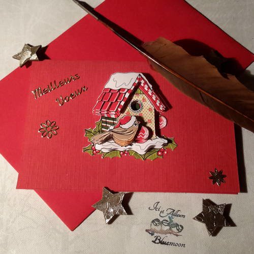 Carte 3d porte billets, enveloppe.  spéciale étrennes, cadeau au choix. nichoir, rouge gorge et houx. 