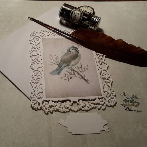 -carte et enveloppe, cadre découpé fines arabesques, oiseau de nos jardins, mésange bleue. 250g 