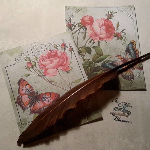 Lot  b de 2 grandes images,  cartes, shabby romantique, papillons merveilkeux, roses anciennes..papier 250g 