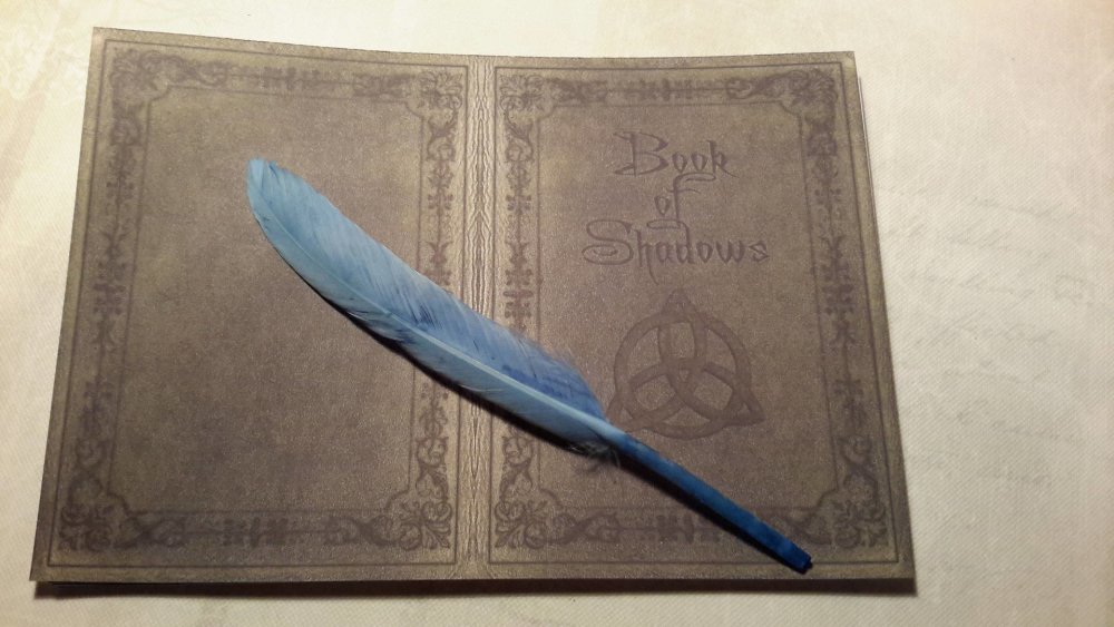 Kit pour petit grimoire magie, taille 1, livre des ombres et sa plume, 10  feuilles doubles et couverture. - Un grand marché