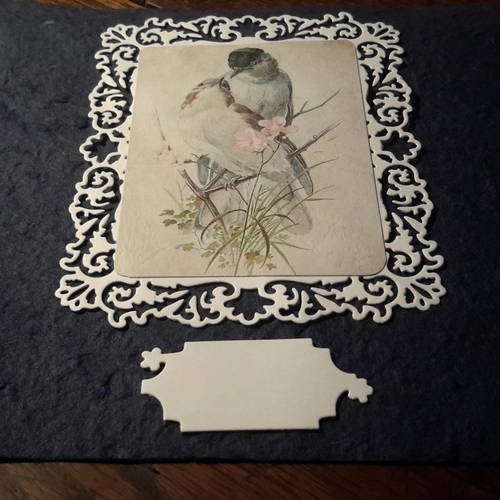 Carte et enveloppe en cadre tableau, découpé fines arabesques,  couple d’oiseaux de nos jardins, fleurs roses. 