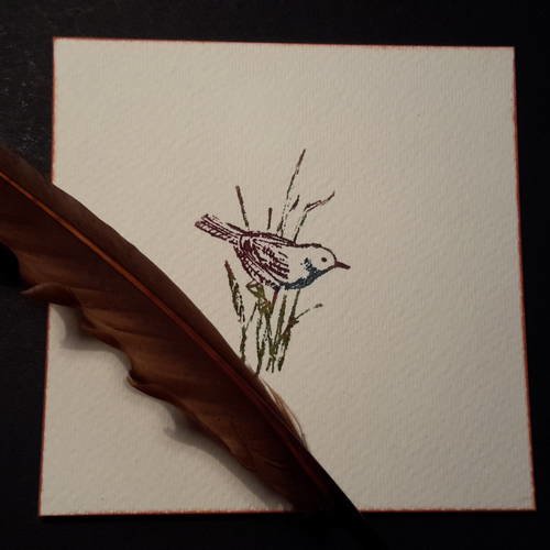 Petite carte et son enveloppe, embellissement, image aquarelle, oiseau sur herbacées, roseaux 