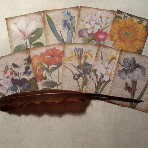 Lot de 9 images rétro, fleurs de nos jardins,  sur fonds écriture vintage, papier épais 250g 