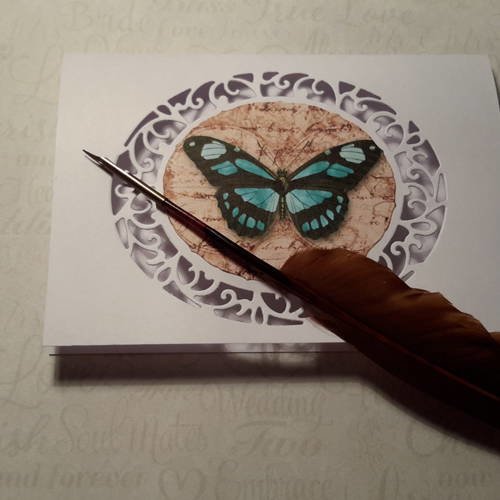 Carte double rectangulaire, enveloppe,  blanches,  découpe  filigrane cadre ovale,  papillon turquoise.
