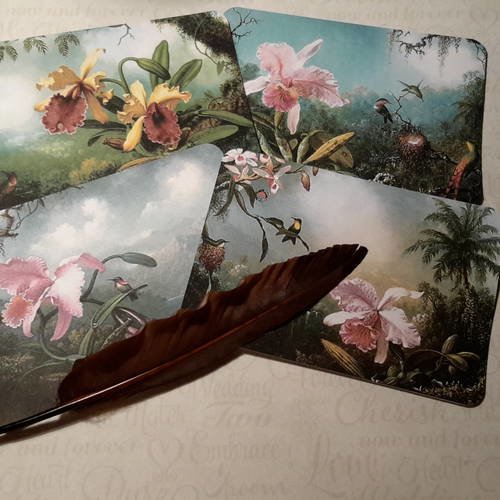 Lot de 4 grandes cartes, images, collection orchidées tropicales. flore, botanique. vintage. fonds pour carte. scrap