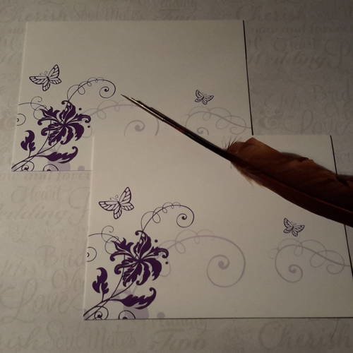 Lot de 2 cartes rectangulaires + enveloppes , motif papillons, fleurs..  rappel motif au dos,  grisé.  carterie 