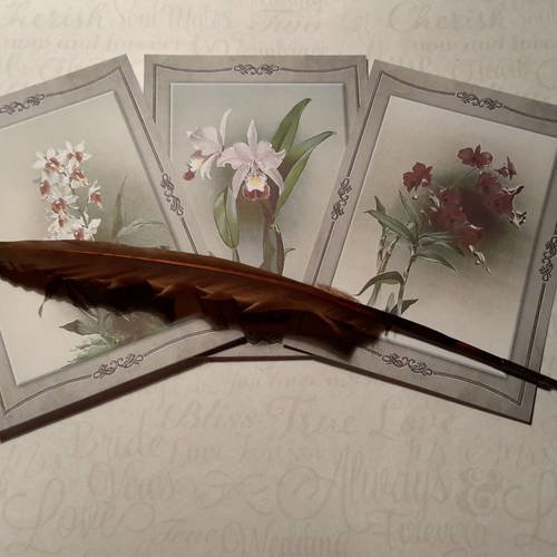 Lot de 3  grandes cartes, images, collection orchidées précieuses. flore, botanique. vintage. fonds pour carte. scrap 