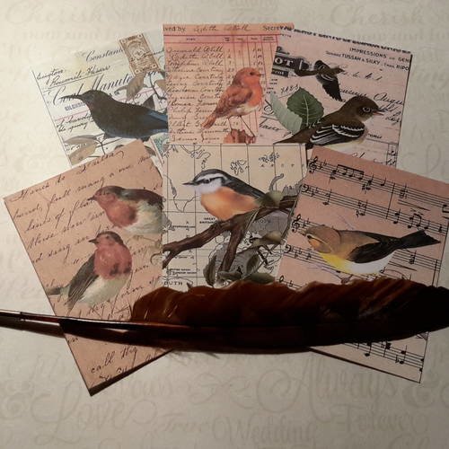 Lot de 6 images, collection oiseaux de nos jardins,  fonds écriture ancienne, musique,  mappemonde. carterie 