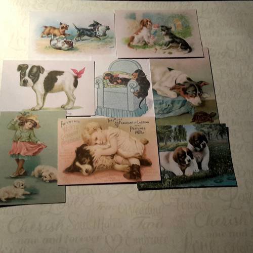 Lot de 8 images, collection petites cartes motifs enfants, chiens victoriens. lapin, tortue..carterie