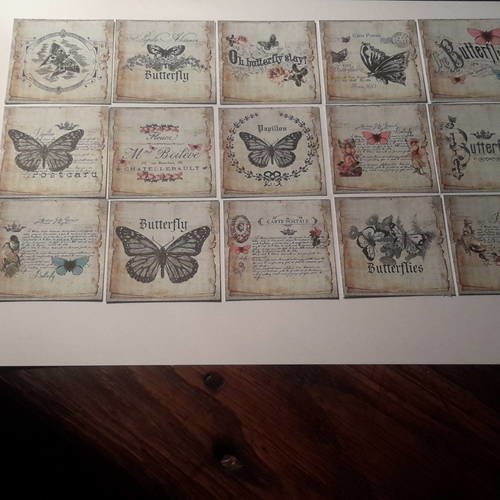 Lot  de  15 embellissements, tags,  découpes papier vintage.  thème les papillons. scrap.