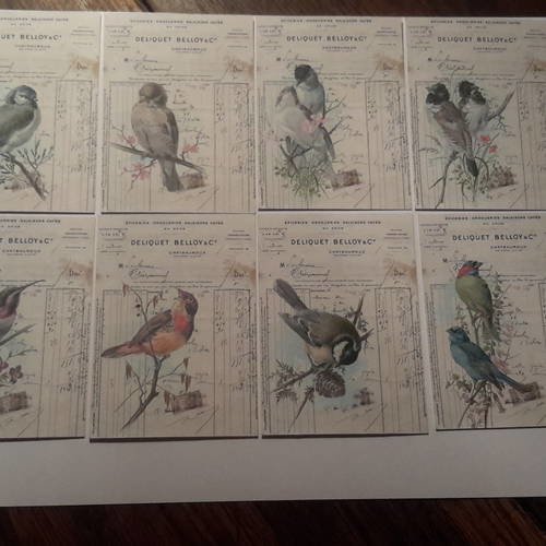 Lot de 8 images, collection oiseaux de nos jardins,  fonds publicité ancienne et écritures comptables . carterie 