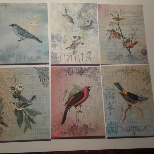 Lot 6 images, illustrations oiseaux, fleurs feuilles,   bases pour créations de cartes. papier 250g 