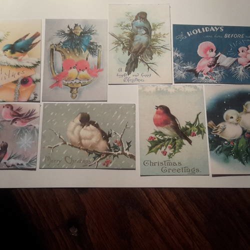 Lot de 8 mini cartes, images, tags, dies, découpes, 250g,  , noël vintage.  les oiseaux, rouge gorge,  mésange. 