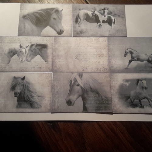 Lot de 8 images, collection mini cartes motifs chevaux, illustration en gris et beige. carterie 