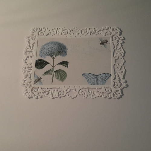 Carte en cadre contour decoupé et enveloppe, frise arabesque filigrané, illustration botanique, harmonie de bleus, fleurs et insectes. 