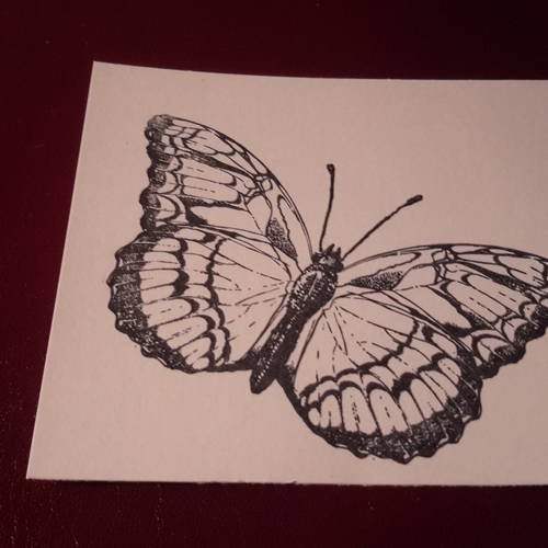 Grande image rectangulaire d’un papillon nombreux motifs sur ailes, tamponnée à l' encre noire. scrap 