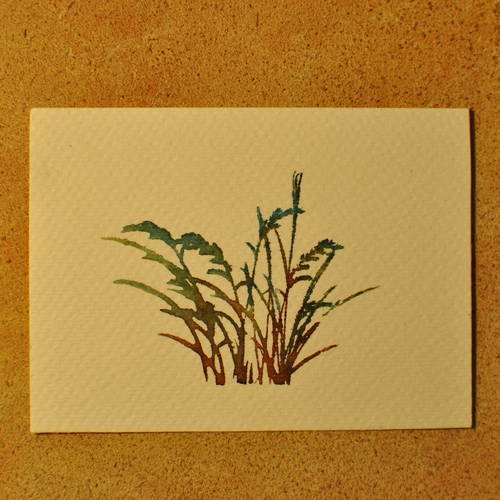 Carte, enveloppe sur mesure,  petite image aquarellée  buisson de graminées. nature sauvage, herbes. 