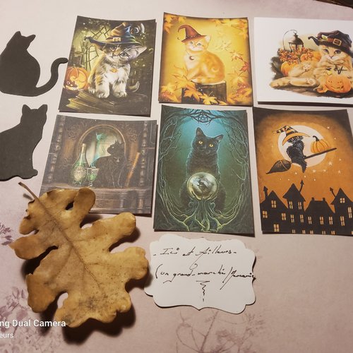 Lot 6 images, images halloween et chats. scrapbooking, loisirs créatifs,  carterie.