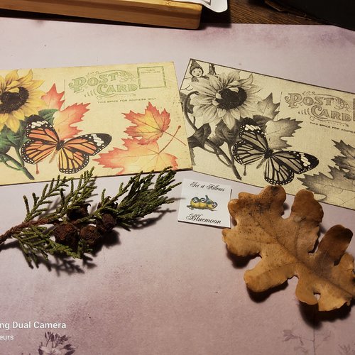 Lot 2 cartes postales. thème fées d automne. loisirs créatifs,  carterie, scrapbooking, papeterie