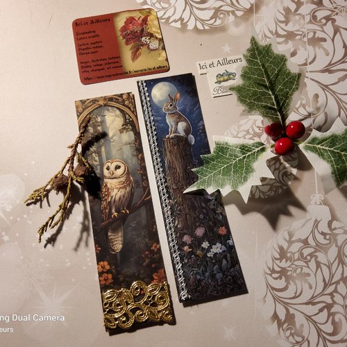 Lot 2 marques pages illustrations animaux avec embellissements. srapbooking, loisirs créatifs,  papéterie, petits cadeaux