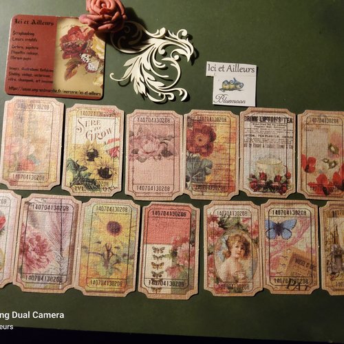 Lot c 13 embellisements, , découpes, étiquettes,  papier romantique, shabby. scrapbooking, carterie, loisirs créatifs,  papeterie