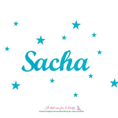 T.1 - 2 cm appliqué thermocollant prénom personnalisable de 5 lettres (sacha, ex. proposé) en flex mat (coloris au choix)