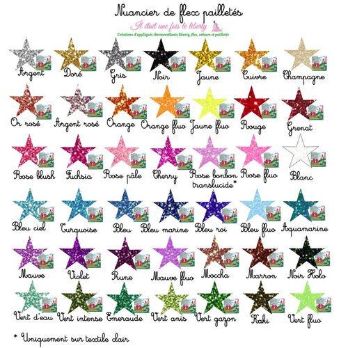 Appliqués thermocollants ensemble de 20 étoiles en flex pailletés de 0.3 cm couleurs personnalisables