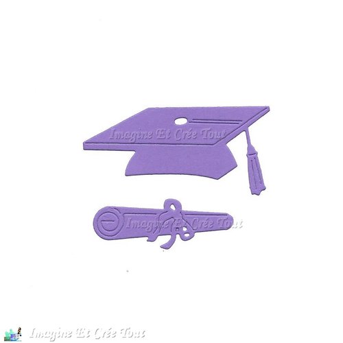 Lot diplôme, garçon, fille, diplôme,baccalauréat, papier dessin