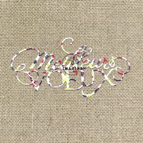 Découpe meilleurs vœux, embellissent, déco, scrapbooking, en papier minis fleurs