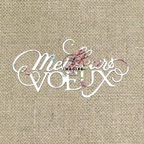 Découpe meilleurs vœux, embellissent, déco, scrapbooking, en papier minis roses