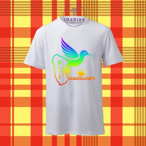 T-shirt personnalisé pour homme - ras du cou - guadeloupe - 971 - colibri - arc en ciel