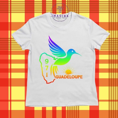 T-shirt personnalisé pour jeunes - col rond - guadeloupe - 971 - colibri - arc en ciel