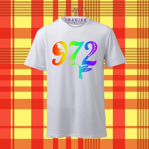 T-shirt personnalisé pour homme - ras du cou - 972 - martinique - colibri - hibiscus - carte - madinina - arc en ciel