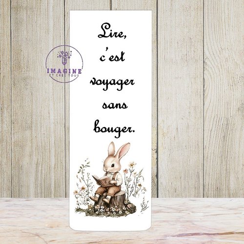 Marque page aimanté - sublimation -  impression infusible ink - bunny reading book - clipart - pâques - lapin