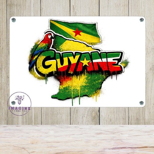 Tableau mural - sublimation -  impression infusible ink - plaque aluminium - guyane - 973 - drapeau national - collector