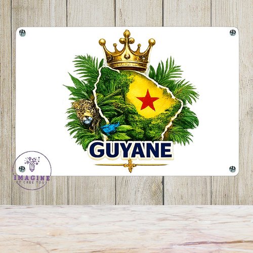 Tableau mural - sublimation -  impression infusible ink - plaque aluminium - guyane - 973 - drapeau national - collector