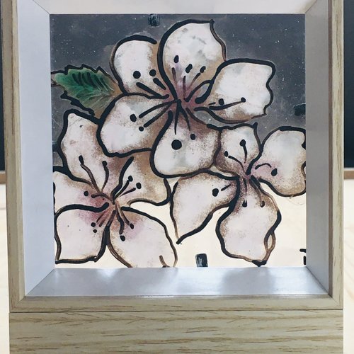 Fleurs de sakura