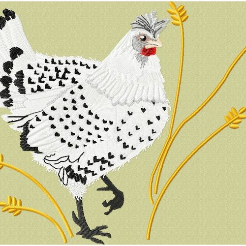 Fichier poule16x13